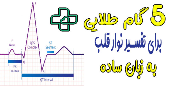 5 گام طلایی برای خواندن نوار قلب به زبان ساده